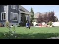 Syracuse Lawn Care by Moore Green
