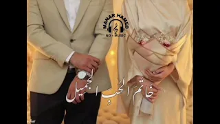صدفة نحن التقينا     دندنها