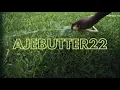 Ajebutter22 - King of parole
