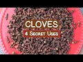 Download Lagu 4 Secret Uses of Clove Spice
