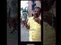 Download Lagu White Owl 🦉 #WhiteOwlMythology#OwlSymbolism#HinduMythology#SanatanDharma#lakshmiblessings