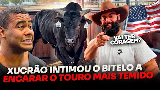 XUCRÃO INTIMOU O BITELO PARA MONTAR NO TOURO MAIS BRUTO DO TEXAS