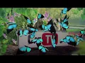 Cat Games | Ultimate Cat TV Compilation Vol 11 | 1 HOUR 🐱📺🐜🐰🐝🐞🦋🧶🐁🦖