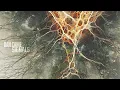 Download Lagu Dan Caine - Signals [Album] (2024)