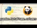Pandas columns Python tutorial pandas Dataframe columns