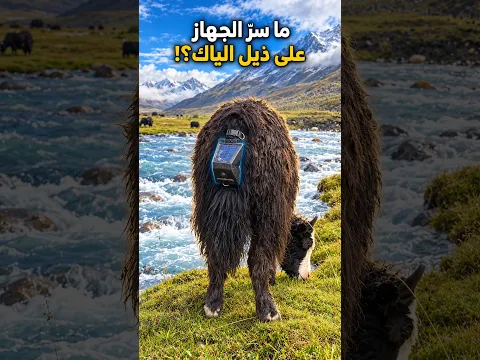 حيلة ذكية لحماية الحيوانات من المفترسات 🐺