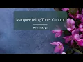 Implement a Marquee Animation in Power Apps using Timer Control