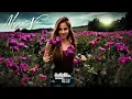 Download Lagu DJ GROSSU _ Magical Vibes | Best Amazing Instrumental Bass👑Official Song