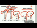 Amino acids classification polar and nonpolar side chain positive and negative charge amino acids