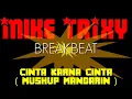 Download Lagu Dj CINTA KARNA CINTA ( MUSHUP MANDARIN ) - SINGLE BREAKBEAT 2021