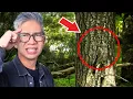 Download Lagu TEMUKAN GAMBAR HEWAN TERSEMBUNYI DI SINI!!