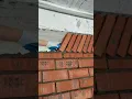 Download Lagu diagonal or angled installation of red bricks at the top edge of the wall #construction #bricks