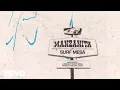 Download Lagu Surf Mesa - Manzanita (Official Visualizer)