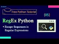 Regex in Python - 05 Regex Escape Sequences Python Tutorial for Beginners in Hindi