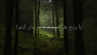 قصد ندارم برای رهایی از رنج راه حلی ارائه کنم بلکه به دنبال راه دیگری برای نگاه کردن به آن هستم 