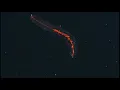 Remulak & Robohands - Life (Official Video)