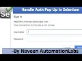 How to Handle Basic Authentication Pop Up in Selenium