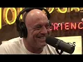 Tommy Lee Says Spotify Has RUINED Music Joe Rogan Experience Podcast