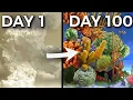 Simulating an Ocean for 100 Days