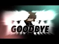 Goodbye - Bo Burnham