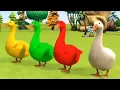 Download Lagu Lagu Potong Bebek Angsa| bebek sapi kucing ayam