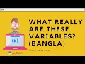Variables in Python Bangla Basics of Python Nerdy Andaa