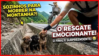 História real de 3 filhotes deixado a própria sorte. 