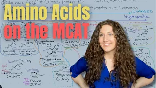 MCAT Biochemistry The Ultimate Amino Acid Study Guide