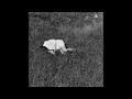 Nina Winder-Lind - This Is Our Life (Official Audio)