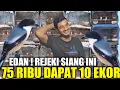 Download Lagu REJEKI SIANG ! KIOS NASIKIN MAKIN GILA !!! RATUSAN EKOR OMBYOKAN DIJUAL SEMURAH INI