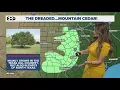 Pollen levels are high right now triggering allergies