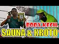 SETTINGAN CUCAK IJO BODY KECIL - SETTINGAN SAUNA SETTINGAN KROTO CUCAK IJO By HoBi ID