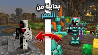                                                                    دندنها