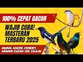 Download Lagu 1 jam NonStop Suara Burung Masteran Paling Ampuh. Dijamin Burung Cepat Gacor!!
