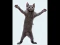 Download Lagu Cats by The Living Tombstone For 10 Minutes