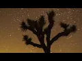 Greg Cerrone - Back To Life - Official Video (On The Air Music)