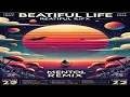 Download Lagu Beautiful Life (MENTOL REMIX) · Ace of Base