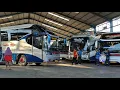 Download Lagu BULAN SURO SEPI PENUMPANG‼️ AKTIVITAS HUNTING PARADE KEBERANGKATAN BUS SUMBER ALAM KUTORAJO