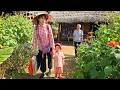 Download Lagu Simple life: Making delicious traditional soy milk with grandpa - Family love | Ly Phuc Binh