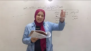 نص أنا لإيليا أو ماضي الصف الثالث الثانوي الأدبي الأزهري ٢٠٢٥ قناة الياسمين 