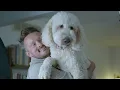 Why Functional Medicine Expert Dr Will Cole Chose A Raw Diet For His Pups