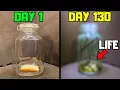 I Put Bread In a Jar It Came Alive