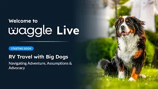 RV Travel with Big Dogs: Adventure, Assumptions & Advocacy