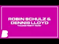 Download Lagu Robin Schulz \u0026 Dennis Lloyd - Young Right Now