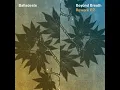 River (Anna Phoebe Rework) - Balladeste & Anna Phoebe