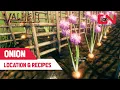 Onion Seeds Location Recipes - Valheim Hearth and Home