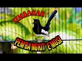 Download Lagu TEMBAKAN PEMBANGKIT EMOSI KACER, PANCINGAN KACER DIAM DAN MALAS BUNYI LANGSUNG NYAUT