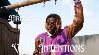 fireboy dml wild intentions official lyrics video 