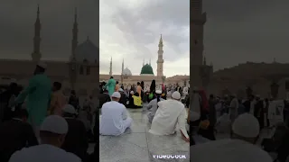 جديد المادح عثمان الأمين القبه القليبي بريدا 