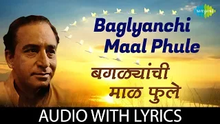 baglyanchi maalphule with lyrics dr vasantrao deshpande shrinivas khale